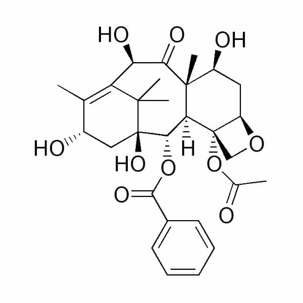 10 Deacetyl Baccatin III (10-DAB III)