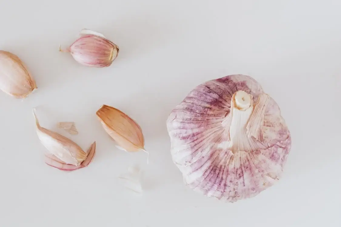 Allium sativum, Laihsun, or Garlic Bulb