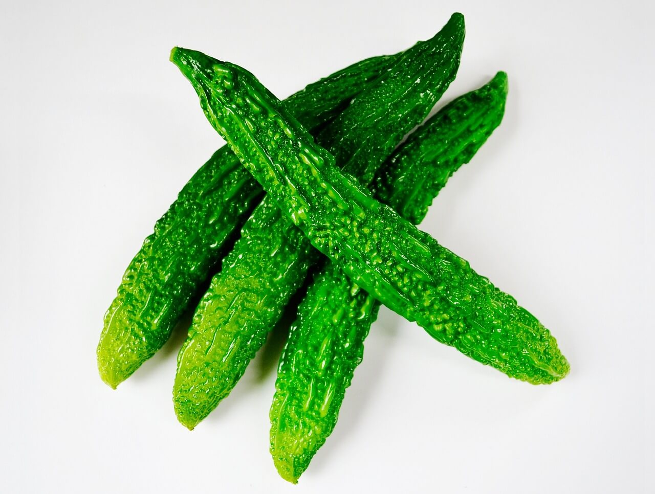 Karela, Momordica charantia or Bitter Gourd Vegetable