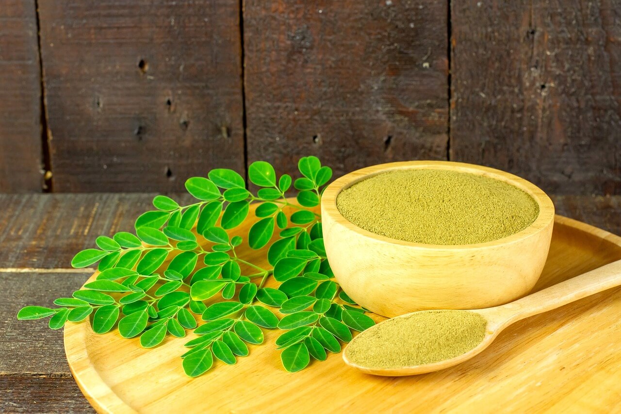 Moringa oleifera Extract powder with moringa leaves
