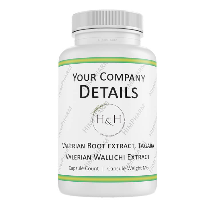 Valerian Root extract, Tagara extract, Valerian Wallichi extract