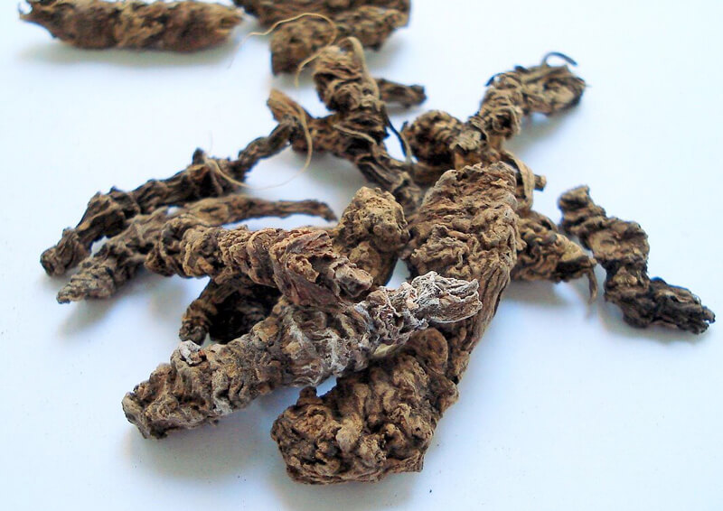 Valerian, Valeriana officinalis, Tagara, Valerian Wallichi Root